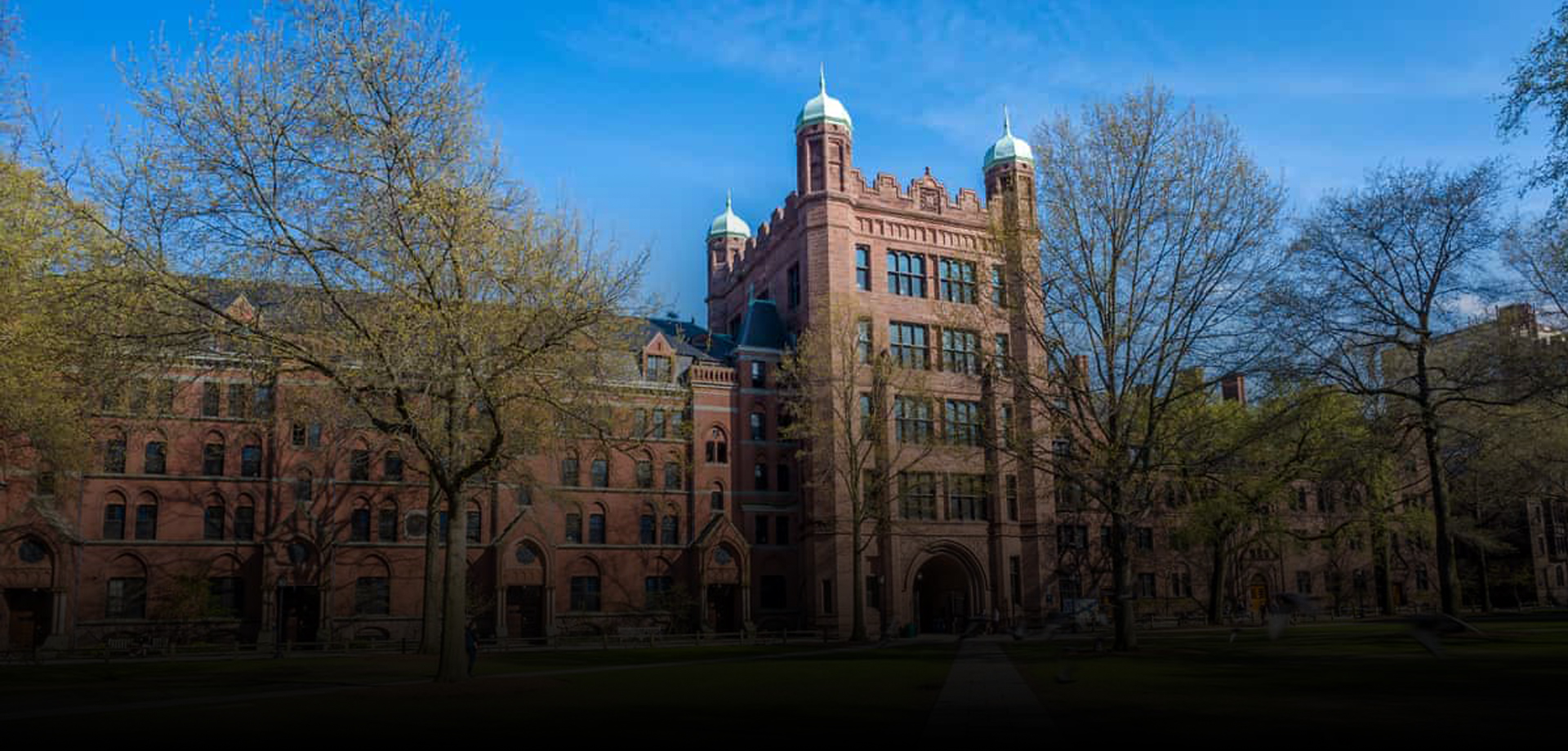 Yale University